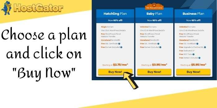 Hostgator Hosting Plan