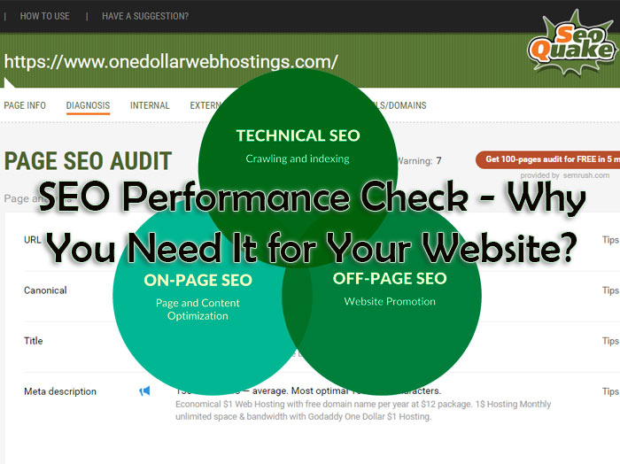 Check SEO performance